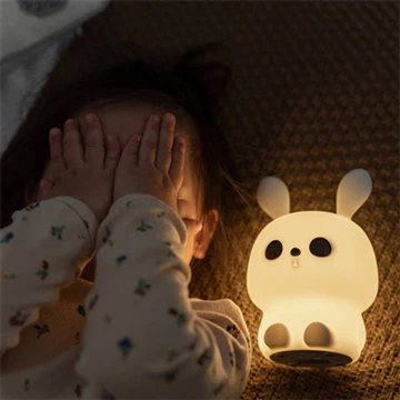 Kynning á Little Night Light